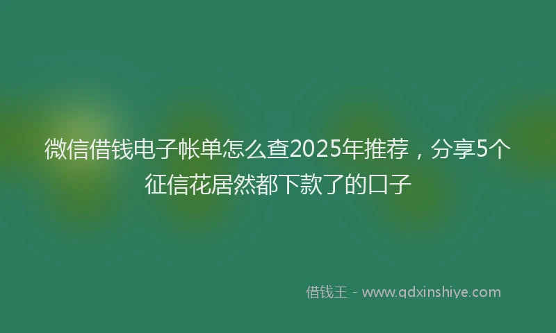 微信借钱电子帐单怎么查2025年推荐，分享5个征信花居然都下款了的口子