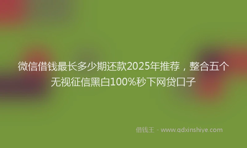 微信借钱最长多少期还款2025年推荐，整合五个无视征信黑白100%秒下网贷口子
