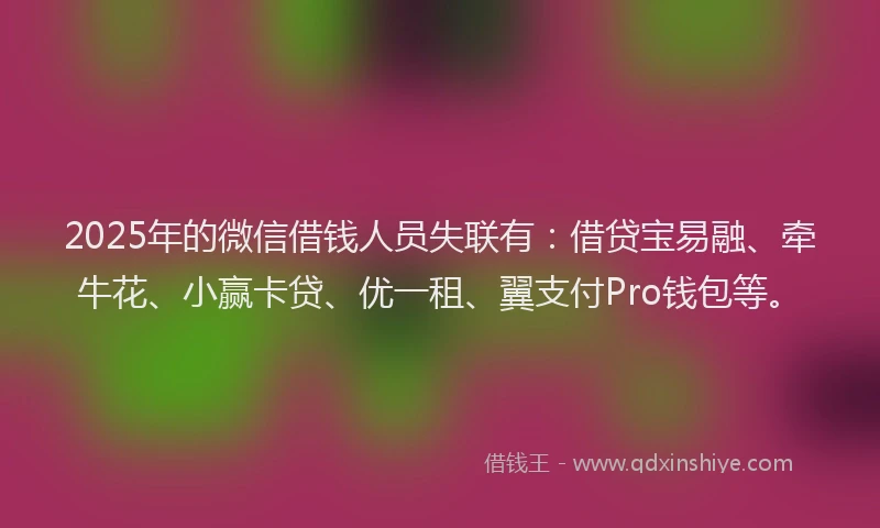 2025年的微信借钱人员失联有：借贷宝易融、牵牛花、小赢卡贷、优一租、翼支付Pro钱包等。