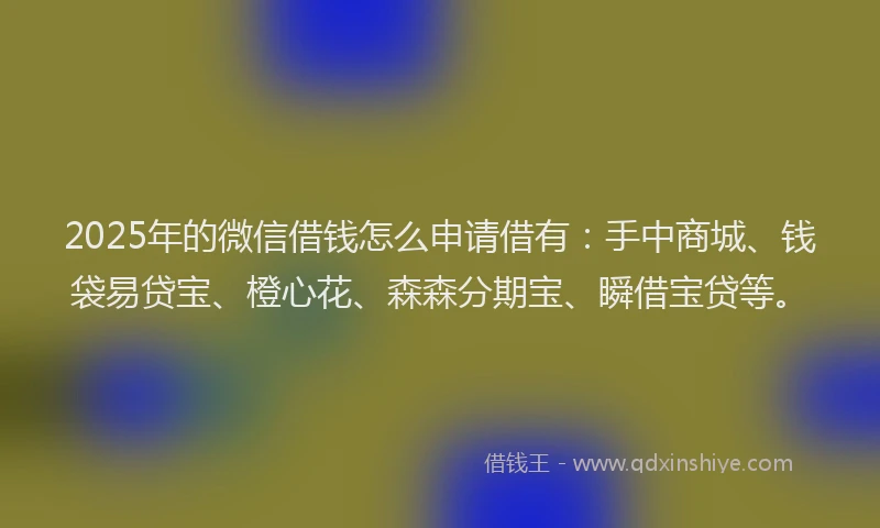 2025年的微信借钱怎么申请借有：手中商城、钱袋易贷宝、橙心花、森森分期宝、瞬借宝贷等。