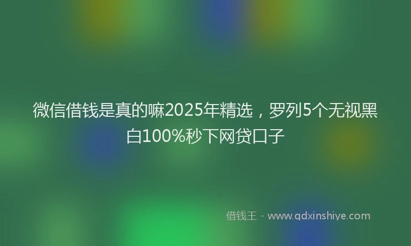 微信借钱是真的嘛2025年精选，罗列5个无视黑白100%秒下网贷口子