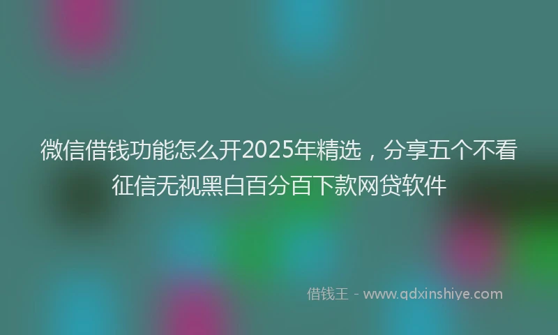 微信借钱功能怎么开2025年精选，分享五个不看征信无视黑白百分百下款网贷软件