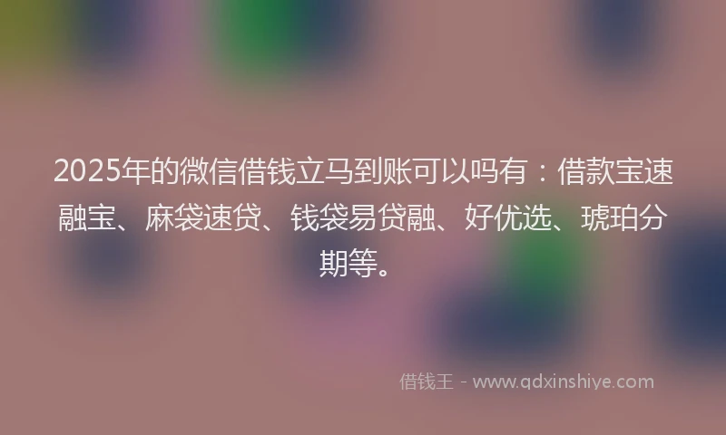 2025年的微信借钱立马到账可以吗有：借款宝速融宝、麻袋速贷、钱袋易贷融、好优选、琥珀分期等。