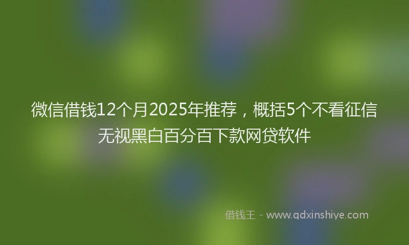 微信借钱12个月2025年推荐，概括5个不看征信无视黑白百分百下款网贷软件
