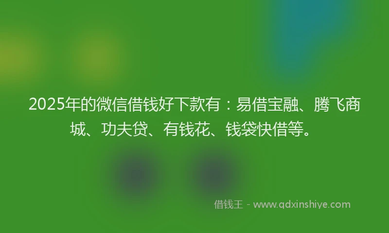 2025年的微信借钱好下款有：易借宝融、腾飞商城、功夫贷、有钱花、钱袋快借等。