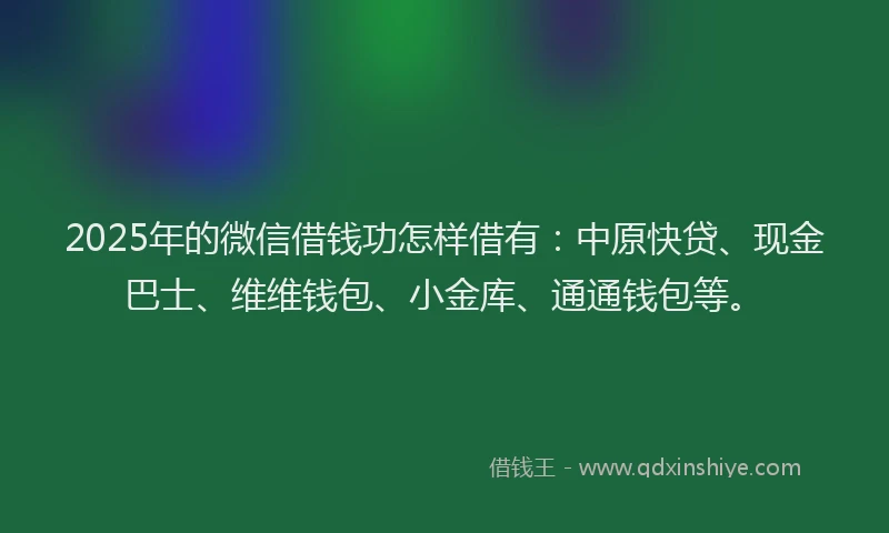 2025年的微信借钱功怎样借有：中原快贷、现金巴士、维维钱包、小金库、通通钱包等。