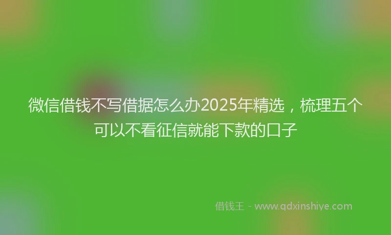 微信借钱不写借据怎么办2025年精选，梳理五个可以不看征信就能下款的口子