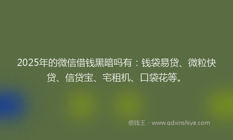 2025年的微信借钱黑暗吗有：钱袋易贷、微粒快贷、信贷宝、宅租机、口袋花等。