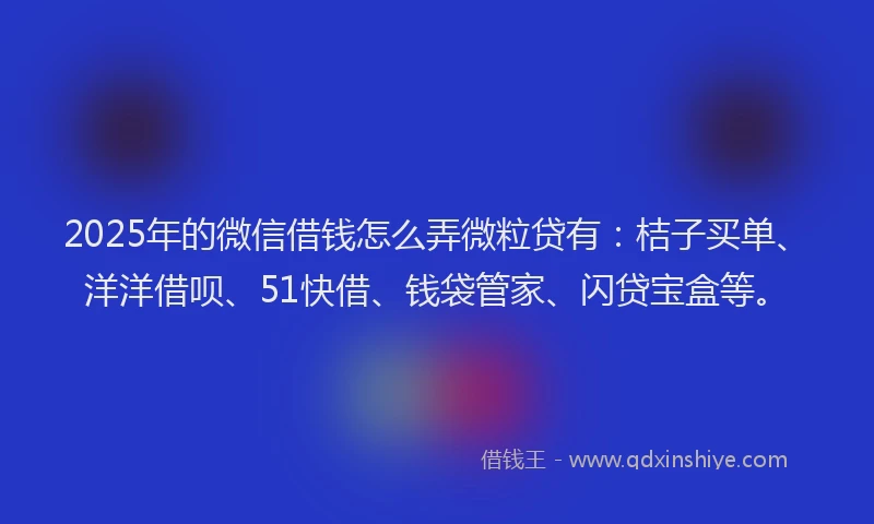2025年的微信借钱怎么弄微粒贷有：桔子买单、洋洋借呗、51快借、钱袋管家、闪贷宝盒等。