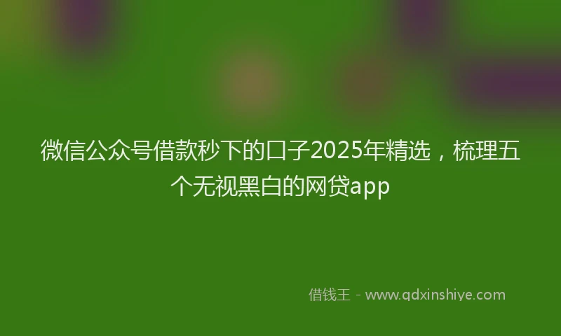 微信公众号借款秒下的口子2025年精选，梳理五个无视黑白的网贷app
