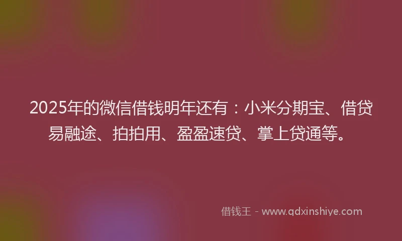 2025年的微信借钱明年还有：小米分期宝、借贷易融途、拍拍用、盈盈速贷、掌上贷通等。