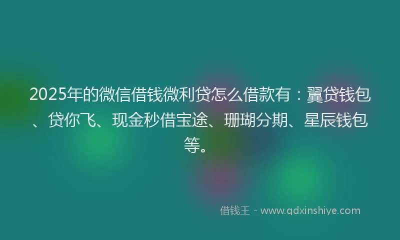 2025年的微信借钱微利贷怎么借款有：翼贷钱包、贷你飞、现金秒借宝途、珊瑚分期、星辰钱包等。