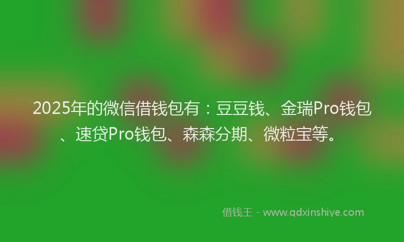 2025年的微信借钱包有：豆豆钱、金瑞Pro钱包、速贷Pro钱包、森森分期、微粒宝等。