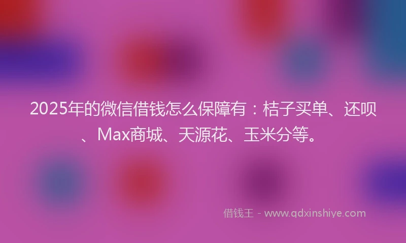 2025年的微信借钱怎么保障有：桔子买单、还呗、Max商城、天源花、玉米分等。
