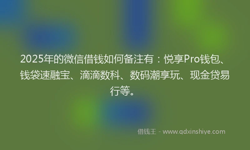2025年的微信借钱如何备注有：悦享Pro钱包、钱袋速融宝、滴滴数科、数码潮享玩、现金贷易行等。