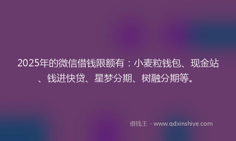 2025年的微信借钱限额有：小麦粒钱包、现金站、钱进快贷、星梦分期、树融分期等。