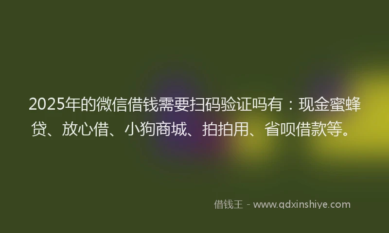 2025年的微信借钱需要扫码验证吗有：现金蜜蜂贷、放心借、小狗商城、拍拍用、省呗借款等。