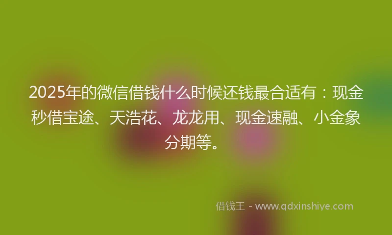 2025年的微信借钱什么时候还钱最合适有：现金秒借宝途、天浩花、龙龙用、现金速融、小金象分期等。