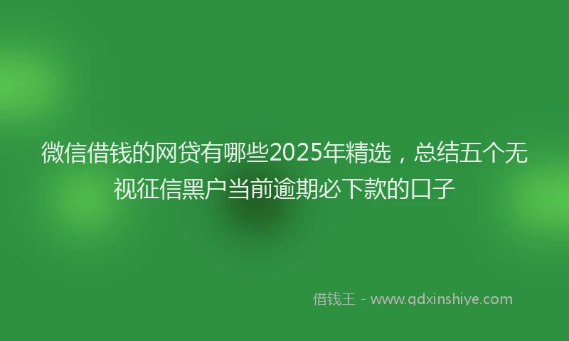 微信借钱的网贷有哪些2025年精选，总结五个无视征信黑户当前逾期必下款的口子