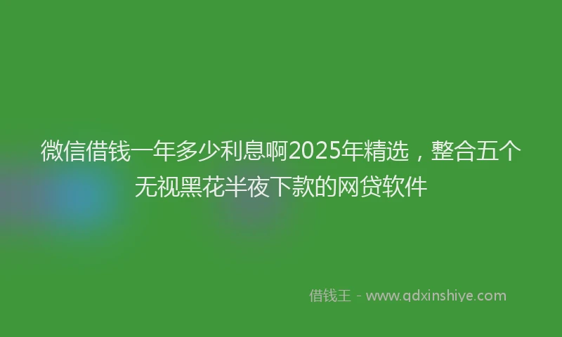 微信借钱一年多少利息啊2025年精选，整合五个无视黑花半夜下款的网贷软件