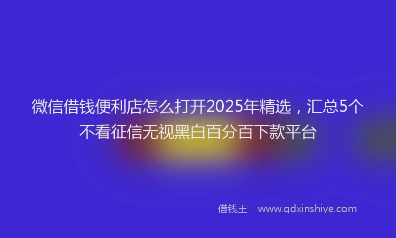 微信借钱便利店怎么打开2025年精选，汇总5个不看征信无视黑白百分百下款平台
