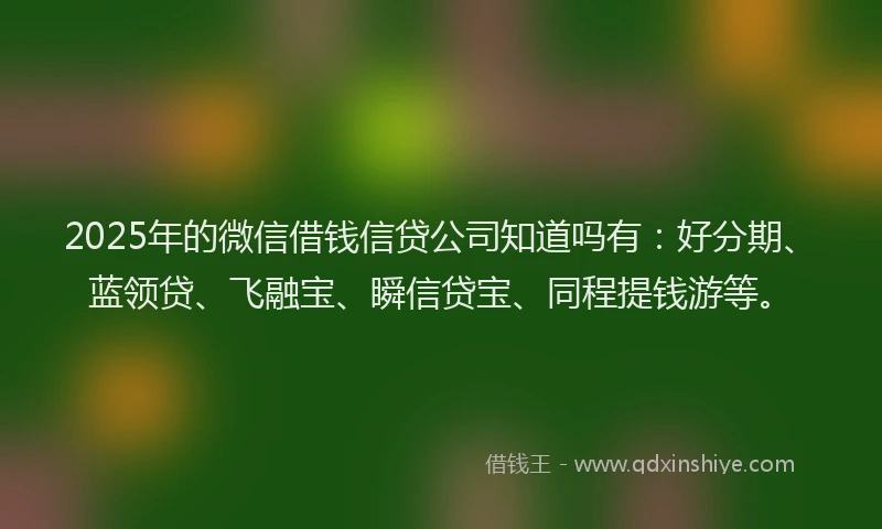 2025年的微信借钱信贷公司知道吗有：好分期、蓝领贷、飞融宝、瞬信贷宝、同程提钱游等。