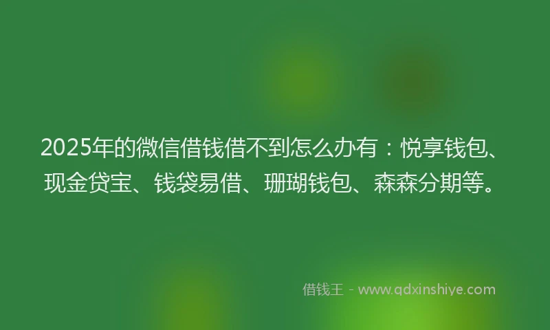 2025年的微信借钱借不到怎么办有：悦享钱包、现金贷宝、钱袋易借、珊瑚钱包、森森分期等。