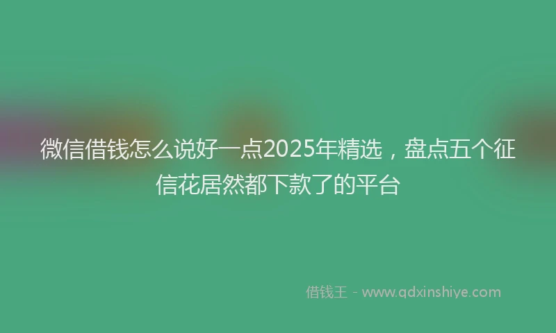 微信借钱怎么说好一点2025年精选，盘点五个征信花居然都下款了的平台