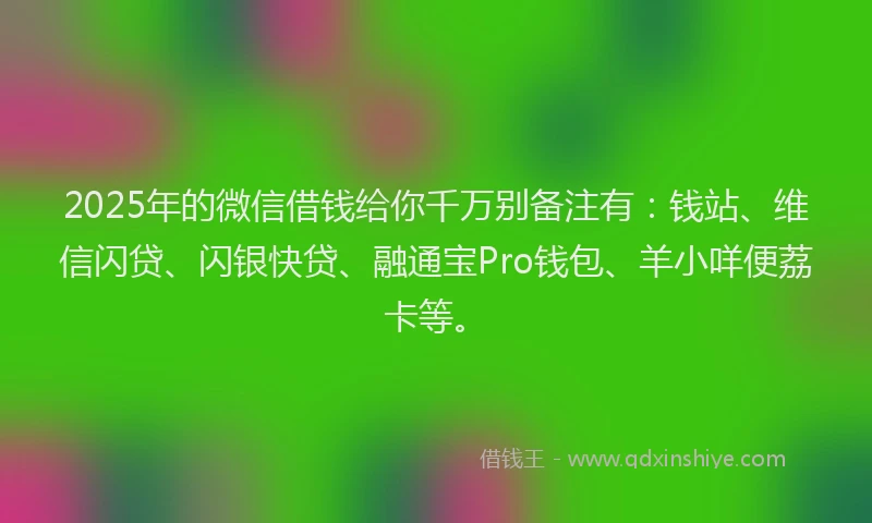 2025年的微信借钱给你千万别备注有：钱站、维信闪贷、闪银快贷、融通宝Pro钱包、羊小咩便荔卡等。