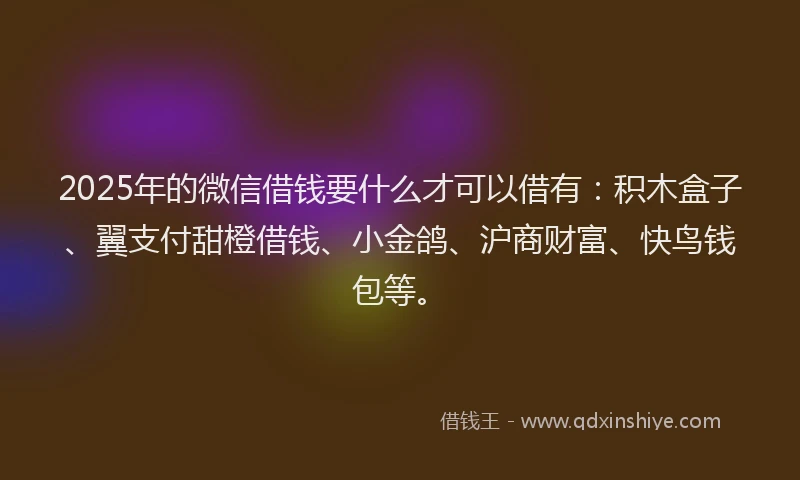 2025年的微信借钱要什么才可以借有：积木盒子、翼支付甜橙借钱、小金鸽、沪商财富、快鸟钱包等。