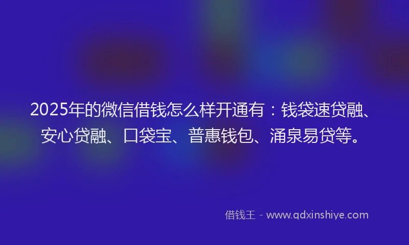 2025年的微信借钱怎么样开通有：钱袋速贷融、安心贷融、口袋宝、普惠钱包、涌泉易贷等。