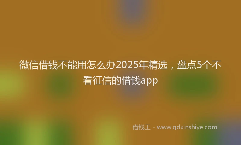 微信借钱不能用怎么办2025年精选，盘点5个不看征信的借钱app