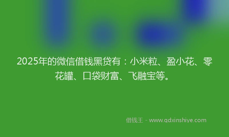 2025年的微信借钱黑贷有：小米粒、盈小花、零花罐、口袋财富、飞融宝等。
