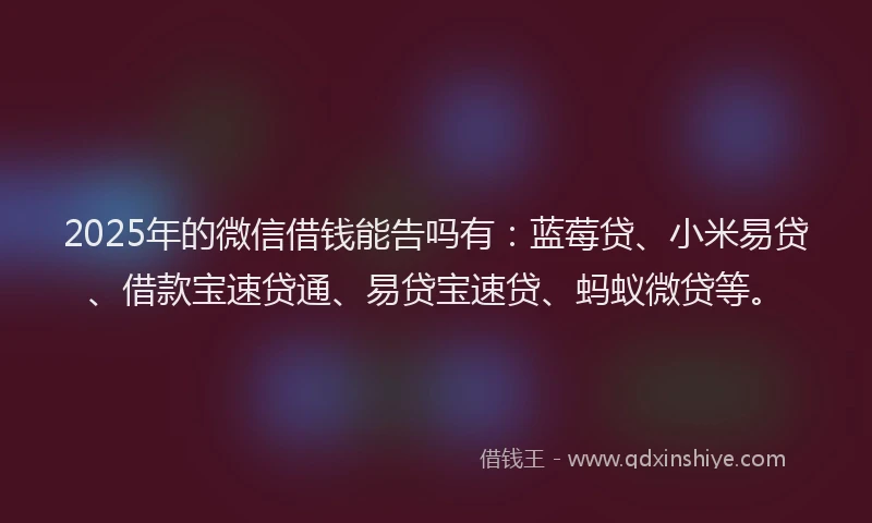 2025年的微信借钱能告吗有：蓝莓贷、小米易贷、借款宝速贷通、易贷宝速贷、蚂蚁微贷等。
