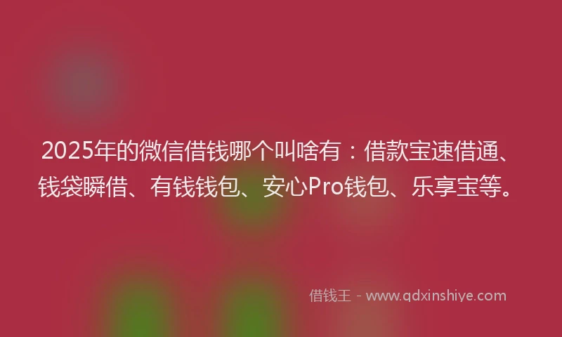 2025年的微信借钱哪个叫啥有：借款宝速借通、钱袋瞬借、有钱钱包、安心Pro钱包、乐享宝等。
