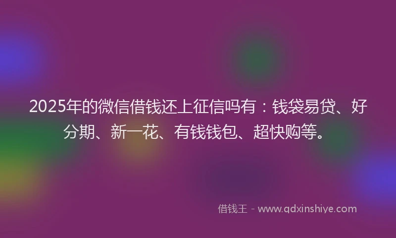 2025年的微信借钱还上征信吗有：钱袋易贷、好分期、新一花、有钱钱包、超快购等。