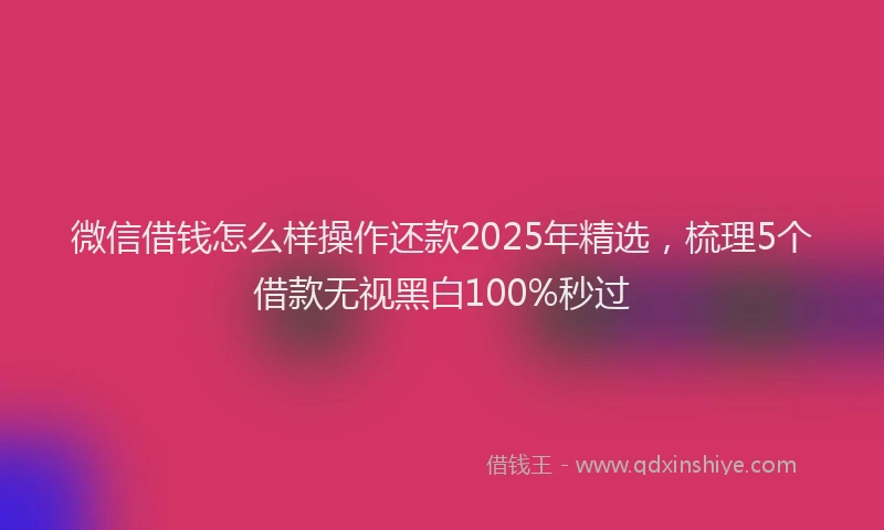 微信借钱怎么样操作还款2025年精选，梳理5个借款无视黑白100%秒过