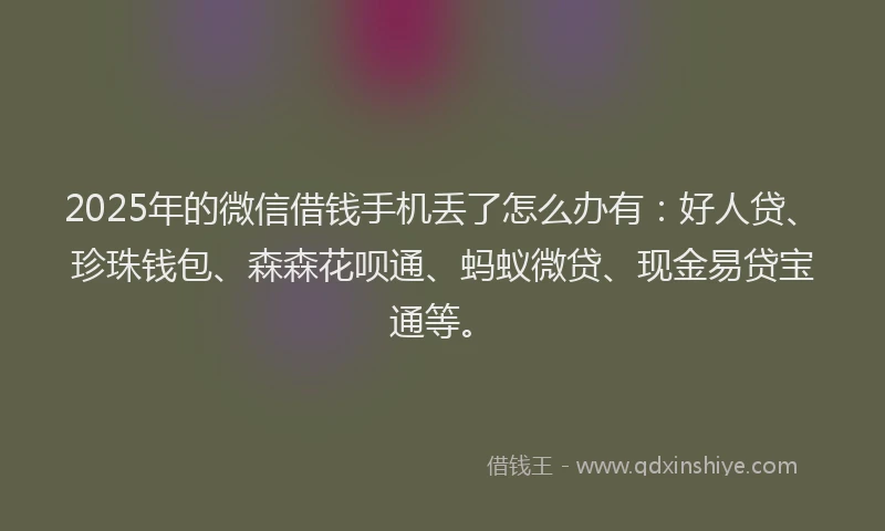2025年的微信借钱手机丢了怎么办有：好人贷、珍珠钱包、森森花呗通、蚂蚁微贷、现金易贷宝通等。