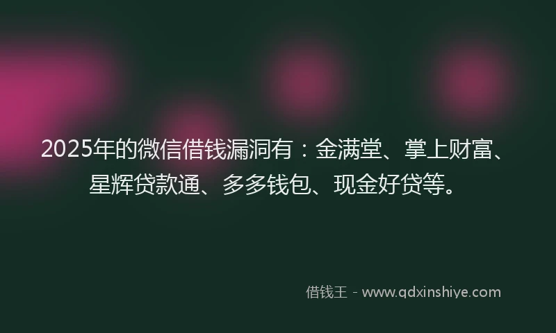 2025年的微信借钱漏洞有：金满堂、掌上财富、星辉贷款通、多多钱包、现金好贷等。