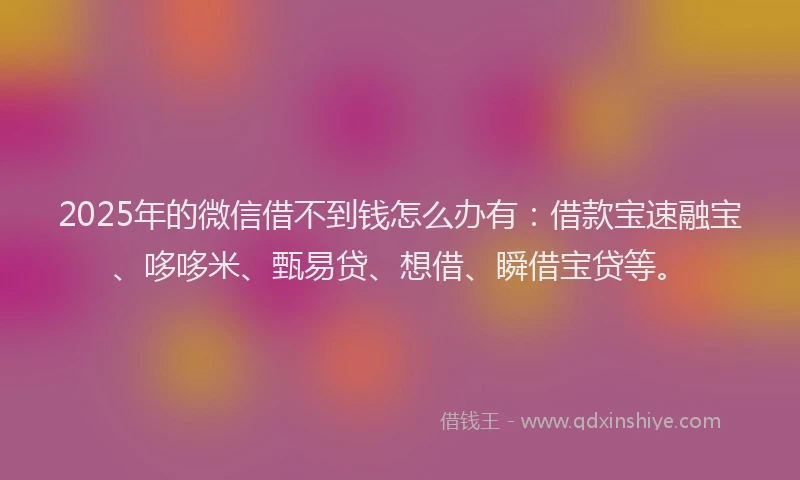 2025年的微信借不到钱怎么办有：借款宝速融宝、哆哆米、甄易贷、想借、瞬借宝贷等。