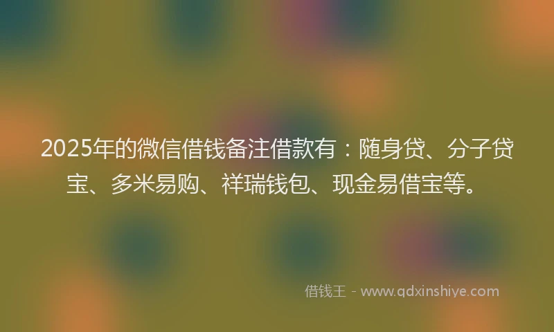 2025年的微信借钱备注借款有：随身贷、分子贷宝、多米易购、祥瑞钱包、现金易借宝等。