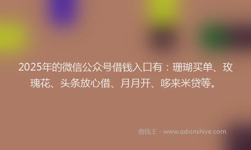 2025年的微信公众号借钱入口有：珊瑚买单、玫瑰花、头条放心借、月月开、哆来米贷等。