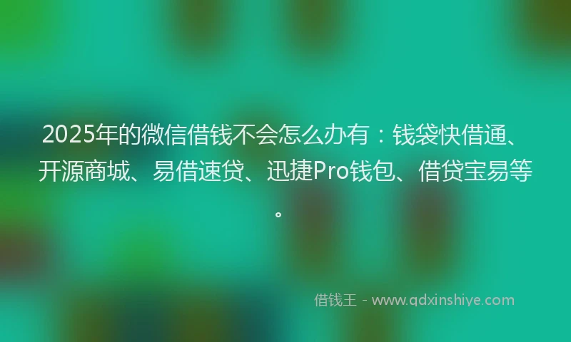 2025年的微信借钱不会怎么办有：钱袋快借通、开源商城、易借速贷、迅捷Pro钱包、借贷宝易等。