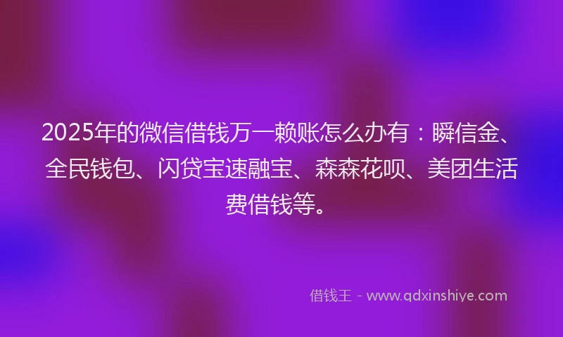 2025年的微信借钱万一赖账怎么办有：瞬信金、全民钱包、闪贷宝速融宝、森森花呗、美团生活费借钱等。