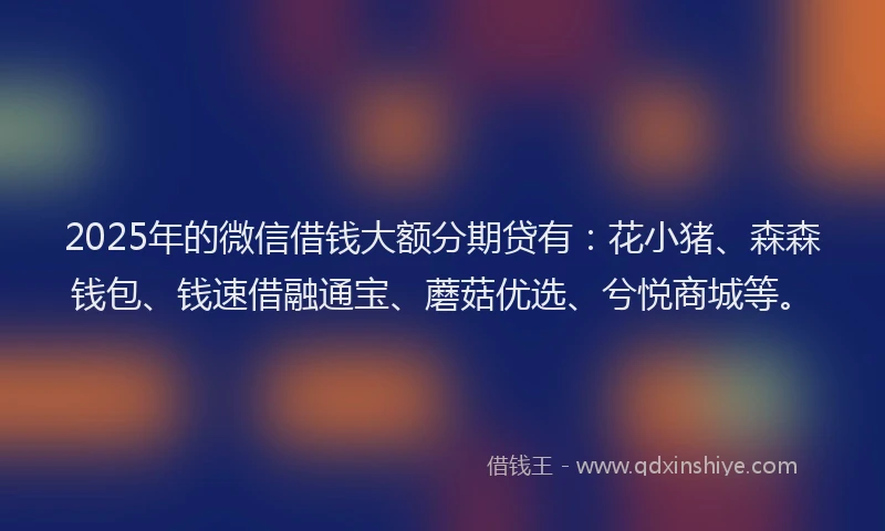 2025年的微信借钱大额分期贷有：花小猪、森森钱包、钱速借融通宝、蘑菇优选、兮悦商城等。
