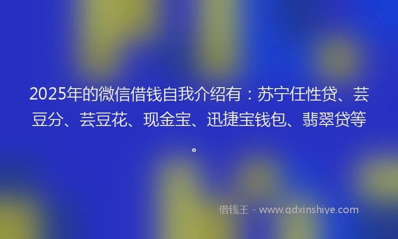 2025年的微信借钱自我介绍有：苏宁任性贷、芸豆分、芸豆花、现金宝、迅捷宝钱包、翡翠贷等。