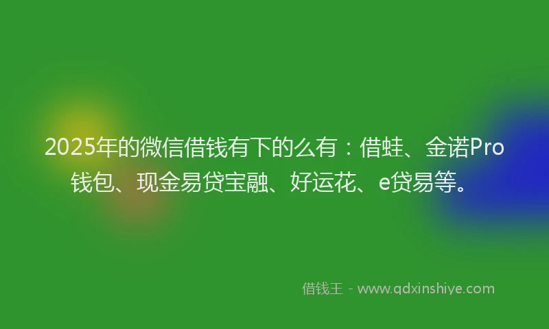 2025年的微信借钱有下的么有：借蛙、金诺Pro钱包、现金易贷宝融、好运花、e贷易等。