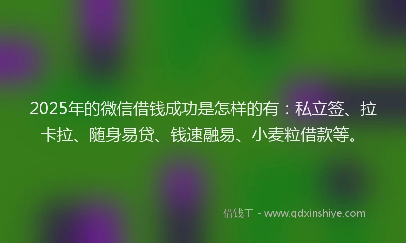 2025年的微信借钱成功是怎样的有：私立签、拉卡拉、随身易贷、钱速融易、小麦粒借款等。