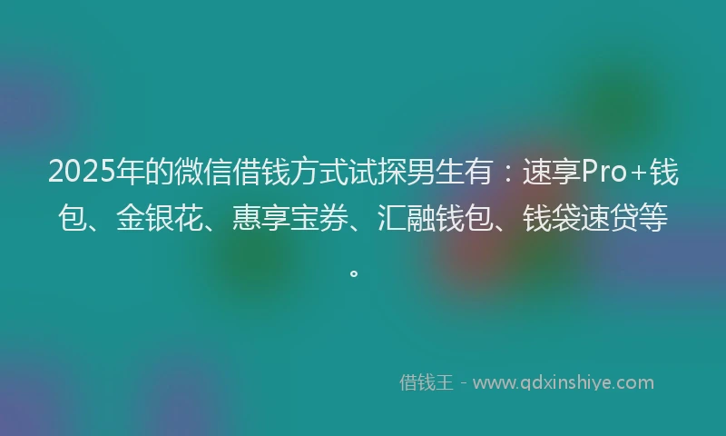 2025年的微信借钱方式试探男生有：速享Pro+钱包、金银花、惠享宝券、汇融钱包、钱袋速贷等。