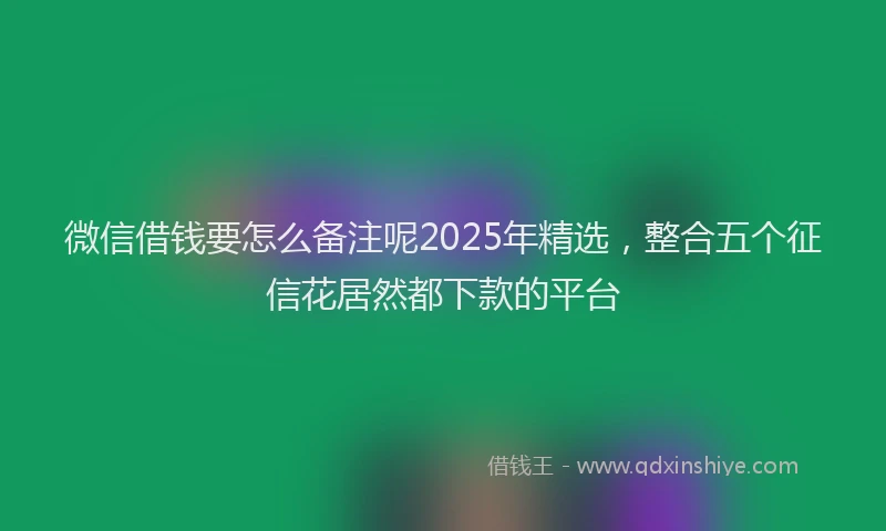 微信借钱要怎么备注呢2025年精选，整合五个征信花居然都下款的平台